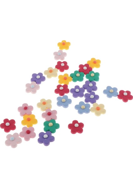 30 Çiçek Reçine Sırtlı Düğ Scrapbook Telefon Süslemeleri (Yurt Dışından) fırsatları