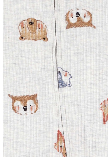 Erkek Bebek Uyku Tulumu fiyatları