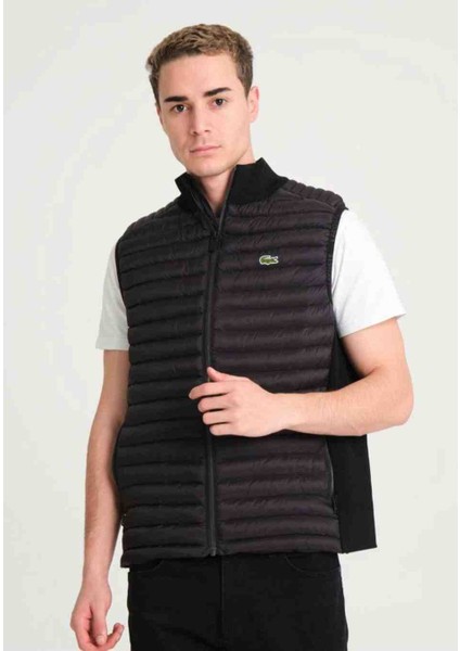 Basıc Siyah Regular Fit Erkek Yelek