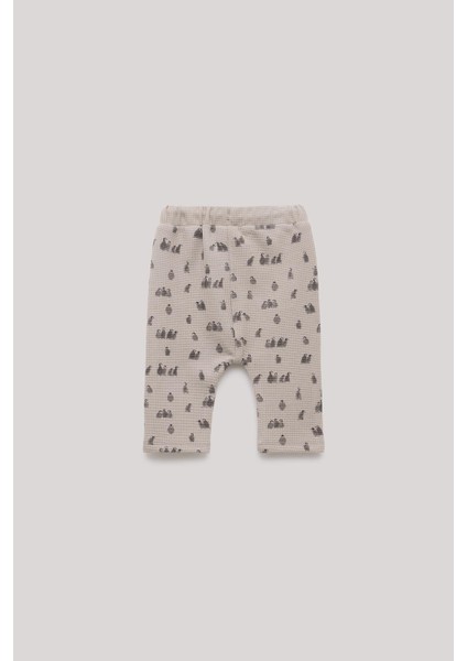 Bg Store Erkek Bebek Desenli Eşofman Altı fiyatları