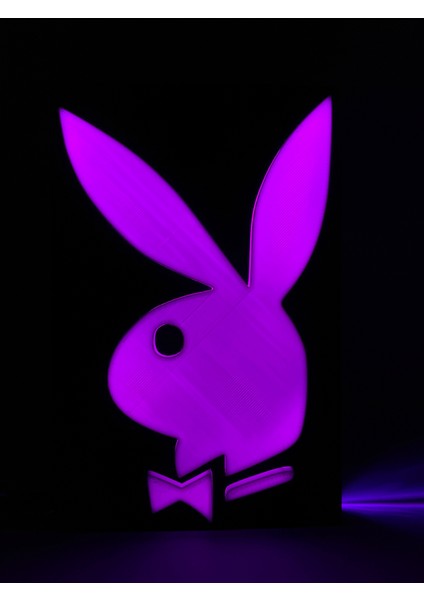 Playboy - Rgb Led Işıklı 3 Boyutlu Tabela - 13cm X 20cm X 2cm (Bluetooth Kontrollü)