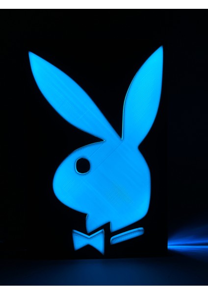 Playboy - Rgb Led Işıklı 3 Boyutlu Tabela - 13cm X 20cm X 2cm (Bluetooth Kontrollü)