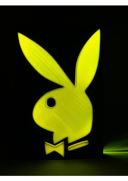 Playboy - Rgb Led Işıklı 3 Boyutlu Tabela - 13cm X 20cm X 2cm (Bluetooth Kontrollü)