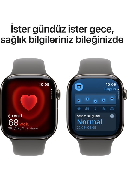 Watch Series 10 GPS + Cellular, 42 mm Natürel Titanyum Kasa ve Taş Grisi Spor Kordon - S/M