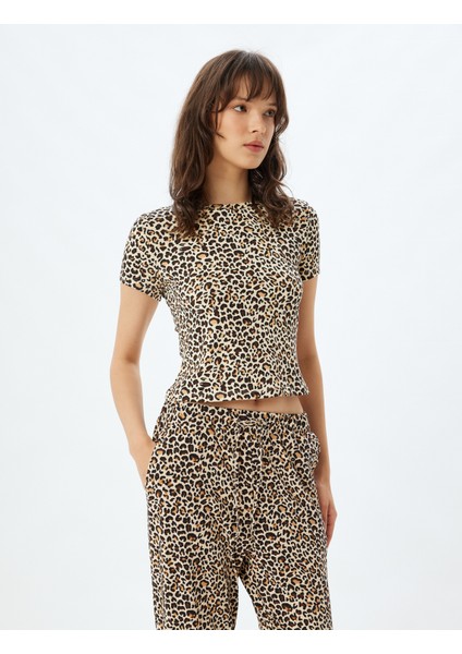 Leoparlı Crop Pijama Üstü Kısa Kollu Bisiklet Yaka fiyatları