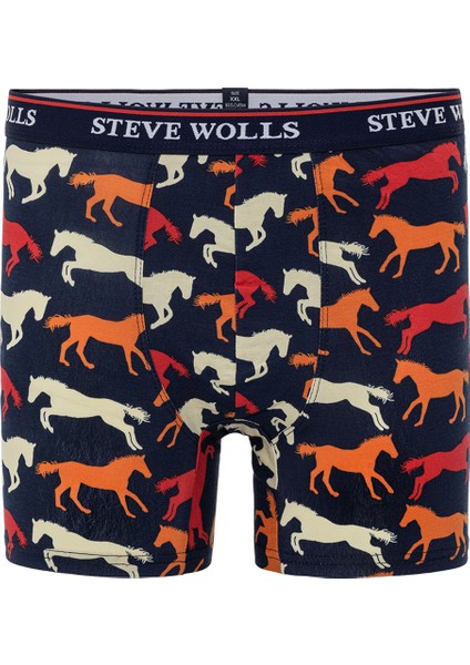 Erkek Karışık Desenli 5’Li Boxer - 23310 (P102) fırsatları