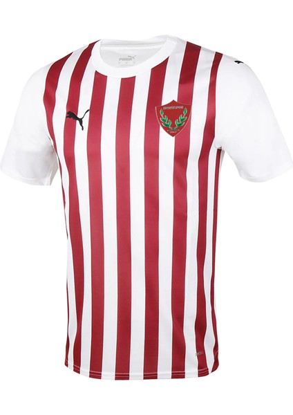Home Jersey Erkek Futbol Forması HTY77881301 Renkli