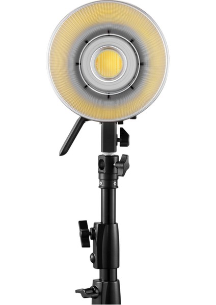 Molus B200 Cob Işık
