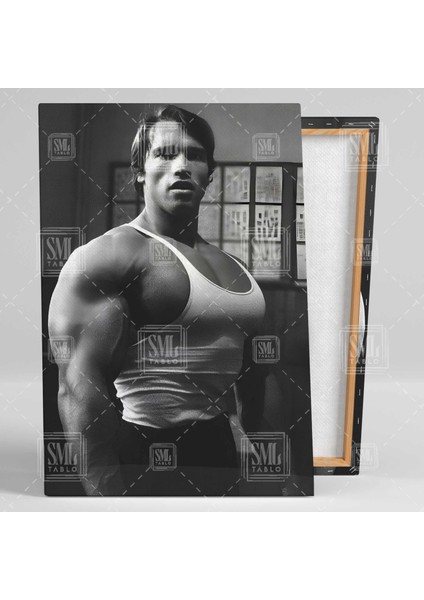 Arnold Schwarzenegger Spor Vücut Geliştirme Mr Olympia Dikey Kanvas Tablo
