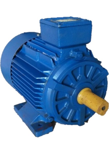 Elektrik Motoru 15KW -3000DD - B3