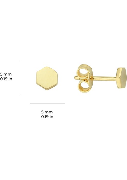 14 Ayar Minik Altıgen Altın Küpe 0,60 gr fiyatları