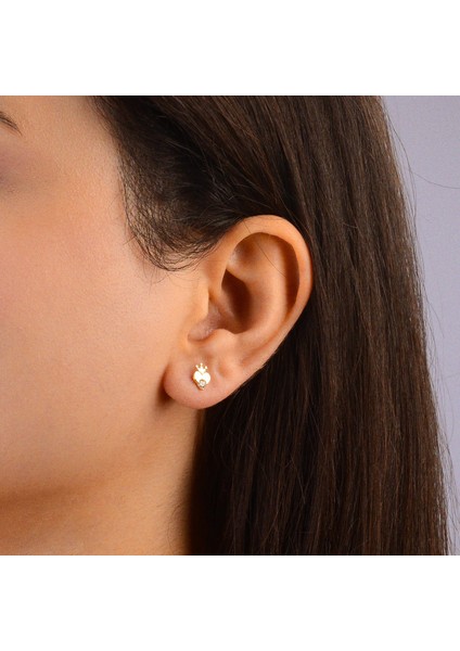 14 Ayar Altın Taç Kalp Küpe 0,85 gr fiyatları