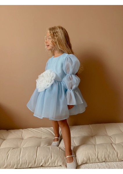 Rose Şifon Kız Çocuk Parti Elbisesi fiyatları