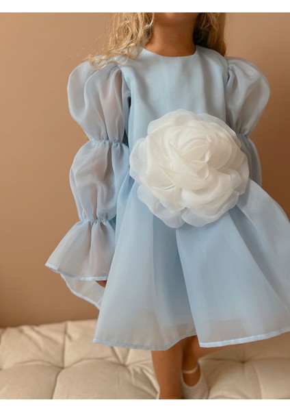 Rose Şifon Kız Çocuk Parti Elbisesi modelleri