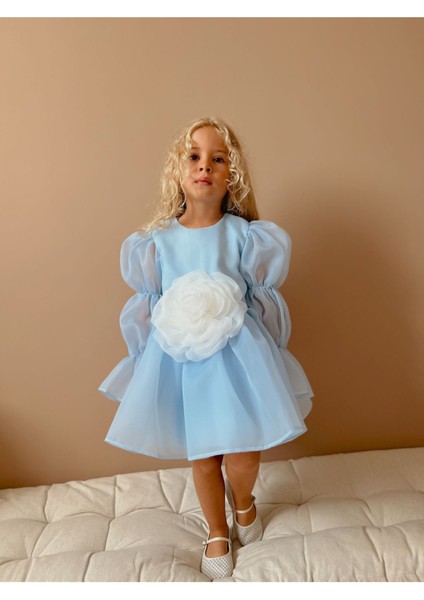 Rose Şifon Kız Çocuk Parti Elbisesi fırsatları