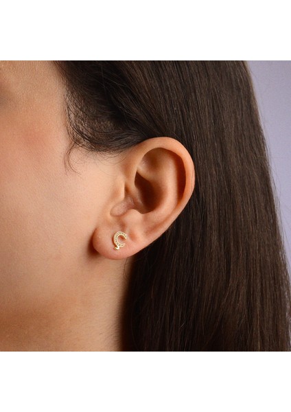 14 Ayar Altın Taşlı Ç Harf Küpe 0,49 gr fiyatları