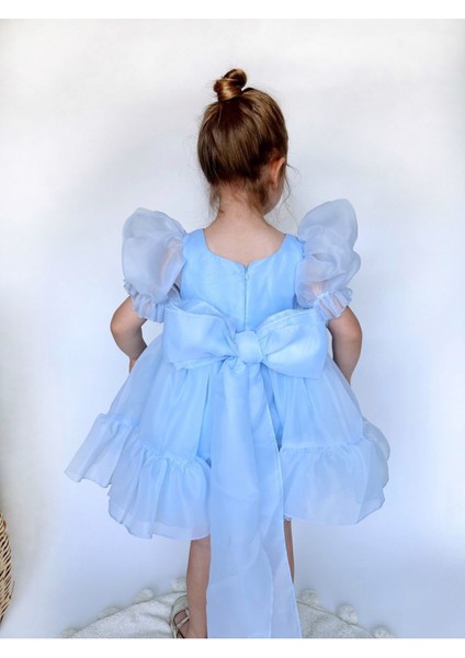 Puffy Şifon Kız Çocuk Parti Elbisesi fiyatları