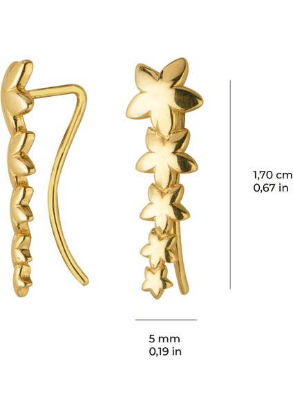 14 Ayar Beş Yıldızlı Altın Küpe 1,03 gr