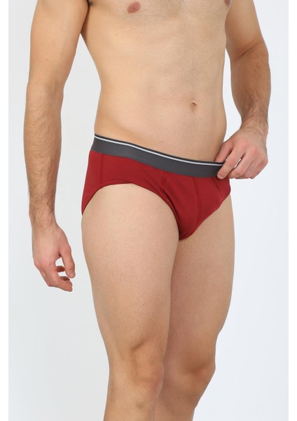 Erkek Pamuk 3lü Siyah Bordo Gri Likralı Slip 40125 fiyatları