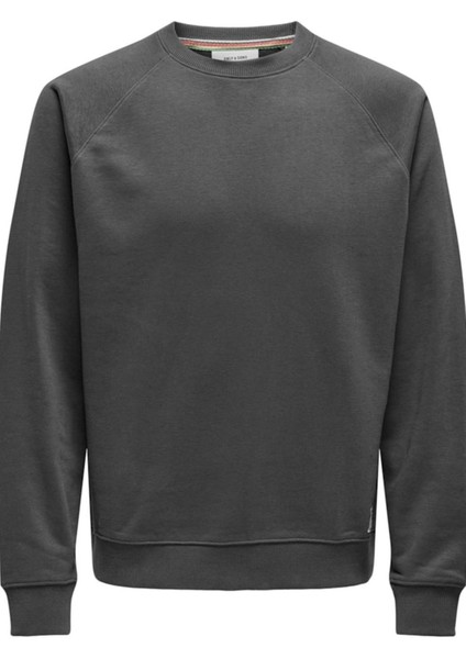 Onsmıchı Lıfe Reg Crew Neck Sweat Gri 22030618 modelleri