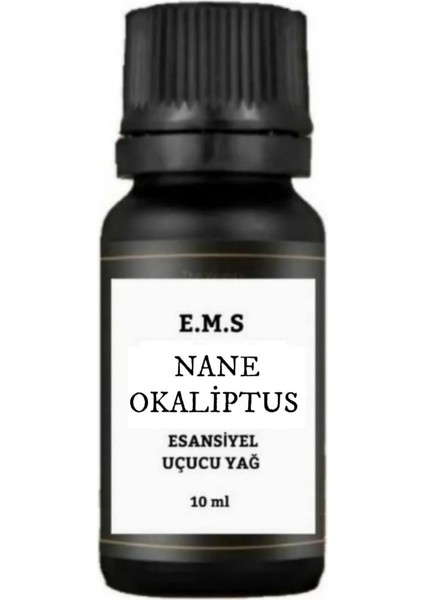 Nane & Okaliptus Esansı Esansiyel Uçucu Yağ Buhurdanlık Kokusu Esansı Difüzör Ortam Kokusu 10 ml