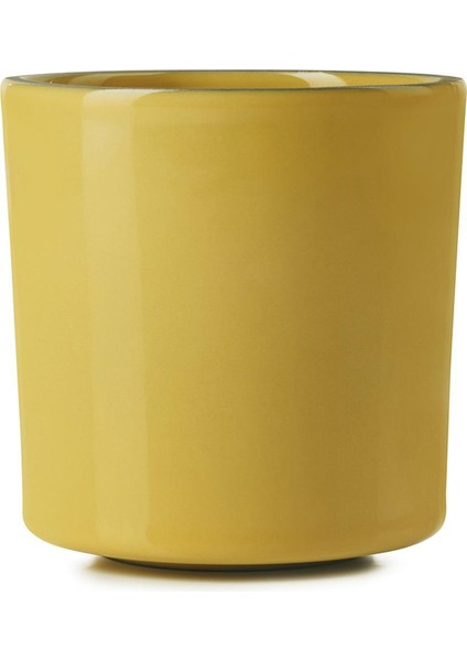 Caractere Kupa 220 ml Hardal fiyatları