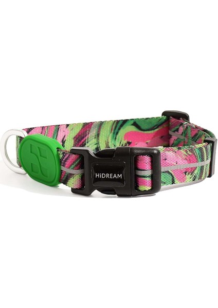 Köpek Boyun Tasması Hi Dream Aurora Series Neon