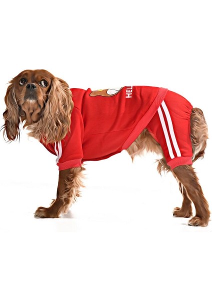 Küçük ve Orta Irk Köpek Pijama Tulum - Goba - Köpek Kıyafeti