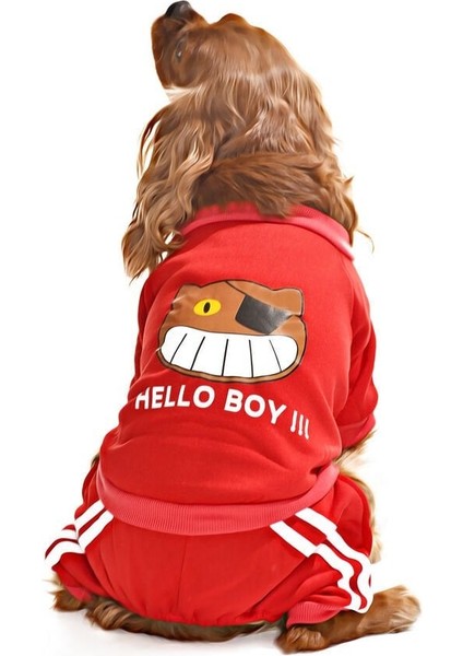 Küçük ve Orta Irk Köpek Pijama Tulum - Goba - Köpek Kıyafeti modelleri