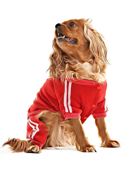 Küçük ve Orta Irk Köpek Pijama Tulum - Goba - Köpek Kıyafeti fırsatları