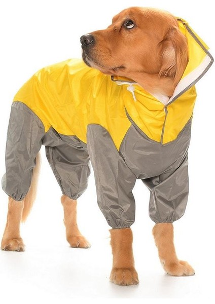 Matabor Dişi Köpek Yağmurluk modelleri