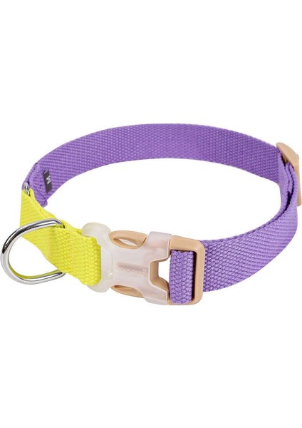 Köpek Boyun Tasması Genie
