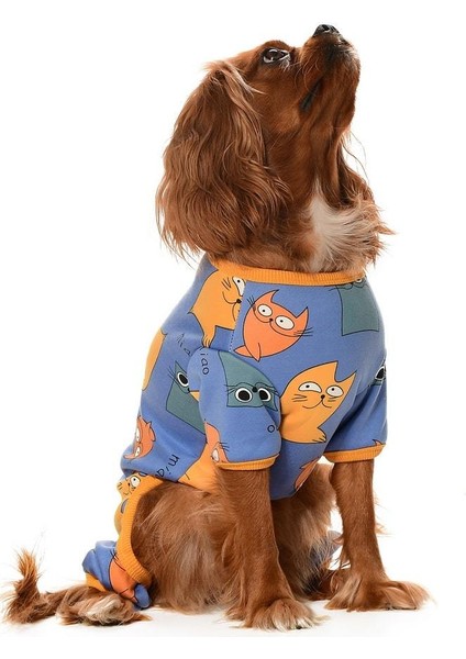 Küçük ve Orta Irk Köpek Pijama Tulum - Adumo - Köpek Kıyafeti modelleri