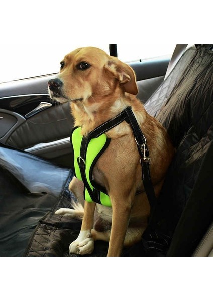 Köpek Araç Emniyet Kemeri ve Tasması Arnav Sarı