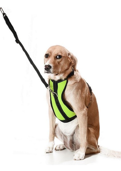 Köpek Araç Emniyet Kemeri ve Tasması Arnav Sarı
