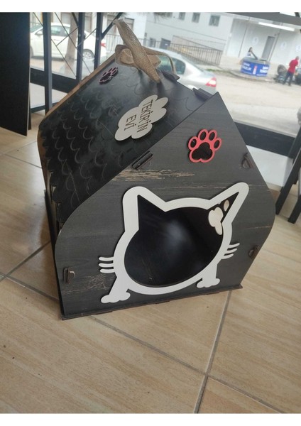 Kedi Evi