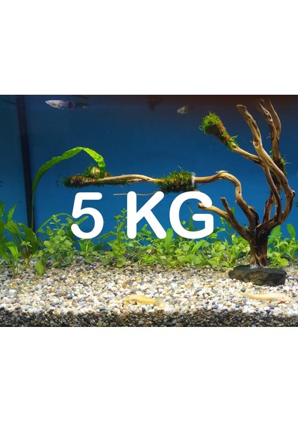 Akvaryum Bitki Kumu Dere Kumu 5 kg