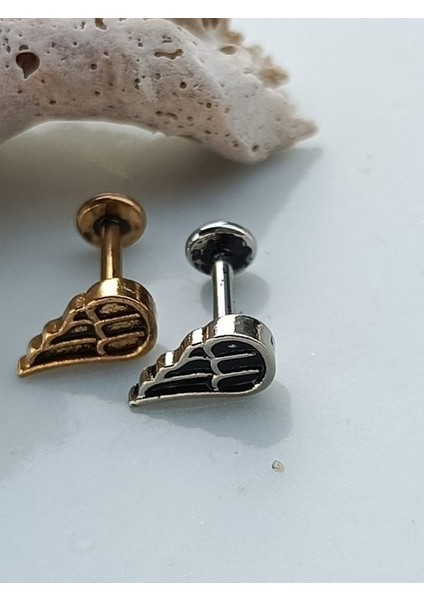 Kanat Çelik Tragus Helix Conch Piercing