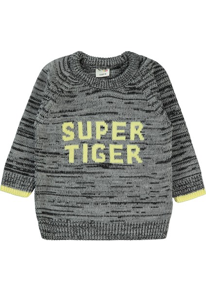 Erkek Bebek Kazak 6-18 Ay Grimelanj