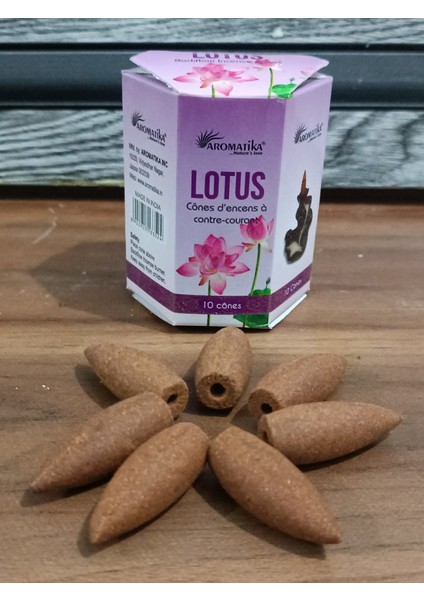 10 Adet Geri Akış Tütsü Lotus Kokulu