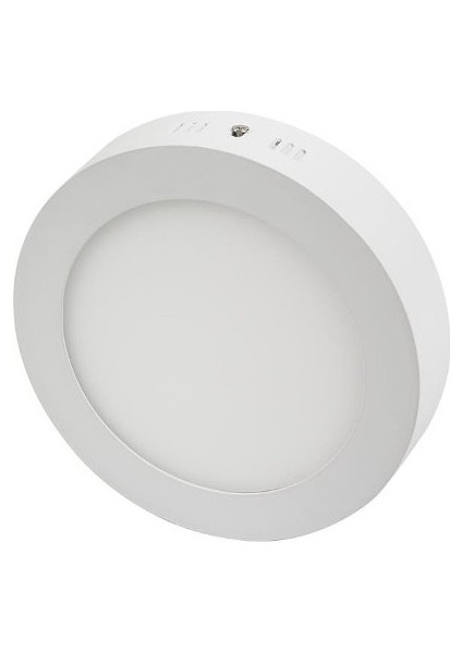 CT-5273 30 W Sıva Üstü LED Armatür Beyaz