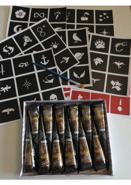 12 Tüp Siyah Golecha Kına 80 Minimal Şablon Fırça Hediyeli Geçici Dövme Seti