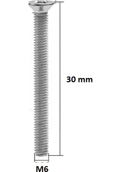 M6 x 30 mm Yıldız Başlı Yhb Vida - 50 Adet