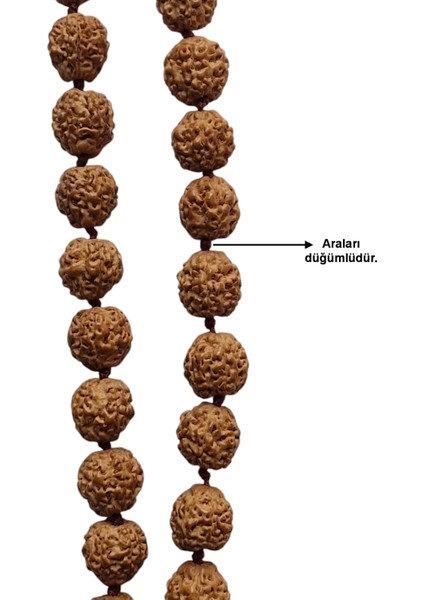 Rudrakşa 54 Taneli Yarım Mala Unisex Kolye Tesbih Hindistan Rudraksha 101YM