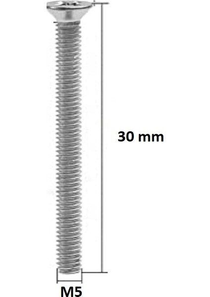 M5 x 30 mm Yıldız Başlı Yhb Vida - 20 Adet