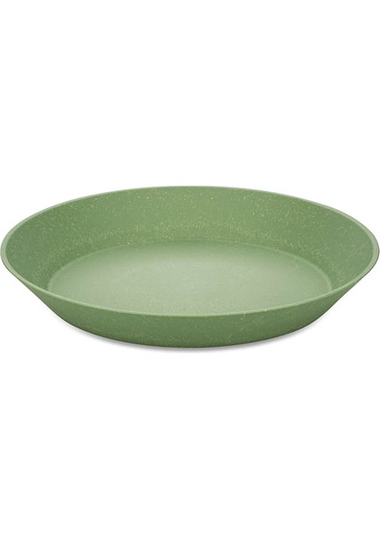 4'lü Tabak 24 cm Yeşil
