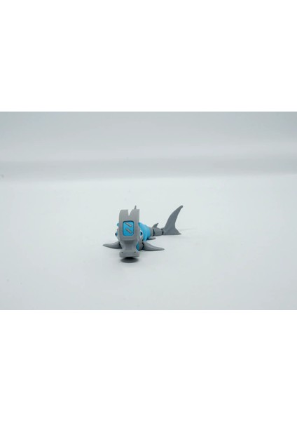 Çekiçkafalı Köpekbalığı 3D Hareketli Model