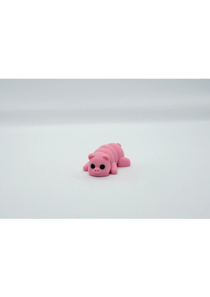 Domuz 3D Hareketli Model