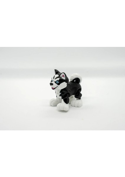 Husky 3D Hareketli Model