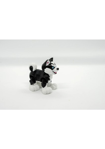 Husky 3D Hareketli Model